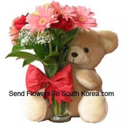 12 Red Carnations and Pink Gerberas with Teddy